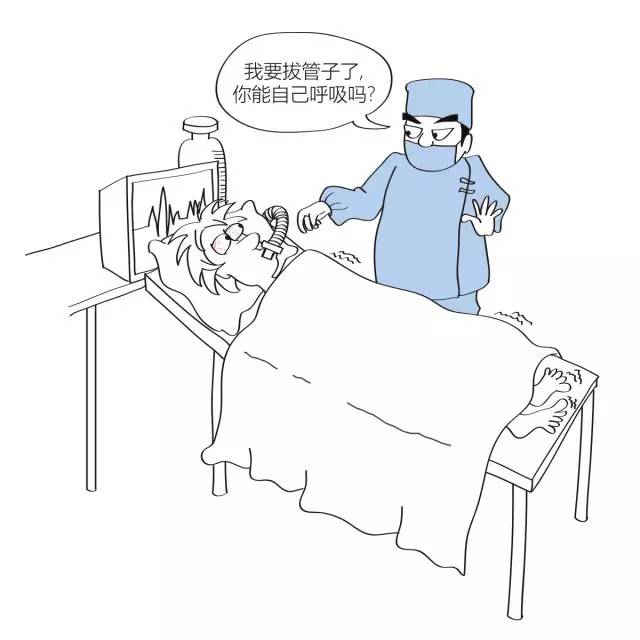 yy8.jpg yy8.jpg