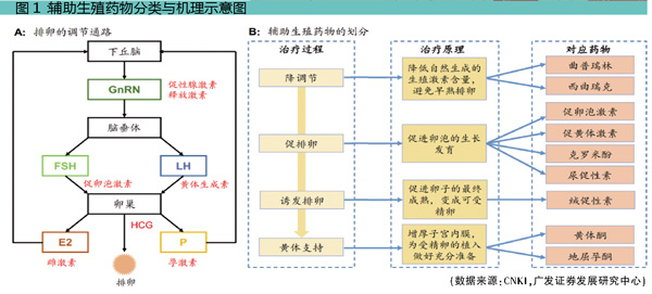 QQ图片20181015162251.jpg