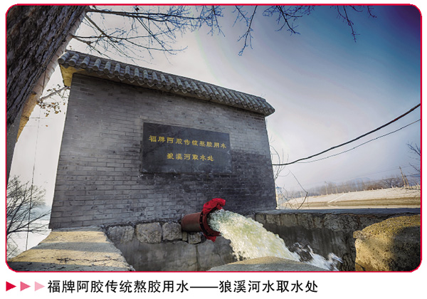 QQ图片20181226115020.jpg