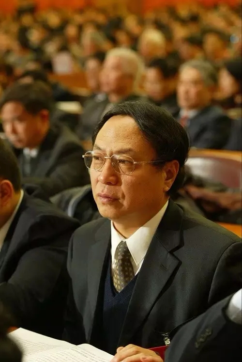 "两会"药事】吴以岭:进一步完善专利中药的审批机制