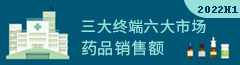 2022H1年全年三大终端六大市场
