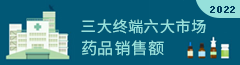2022年全年三大终端六大市场